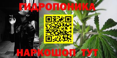 дмт Гагарин