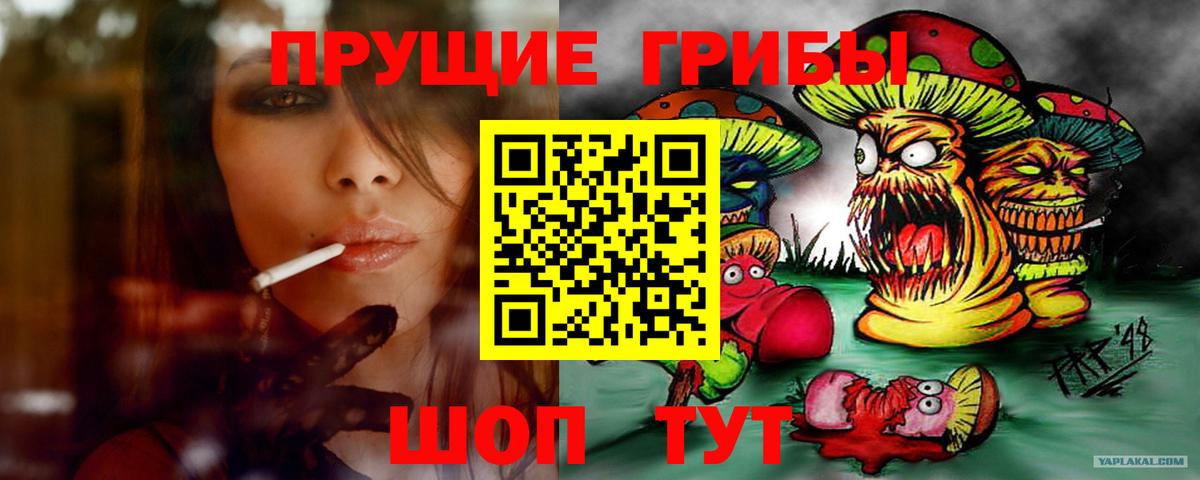 наркотики  Вход с VPN  Карасук  Псилоцибиновые грибы прущие грибы 